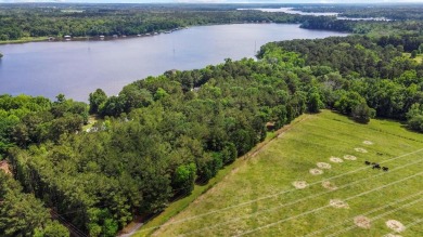 This spectacular, one of a kind property consist of 21.76 acres - Lake Acreage For Sale in Tyler, Texas