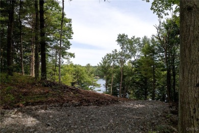 Lake Acreage For Sale in Theresa, New York