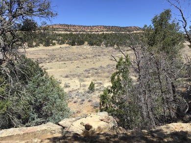 (private lake, pond, creek) Acreage For Sale in Ramah New Mexico