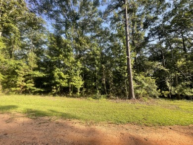 Lake Lot For Sale in Pachuta, Mississippi