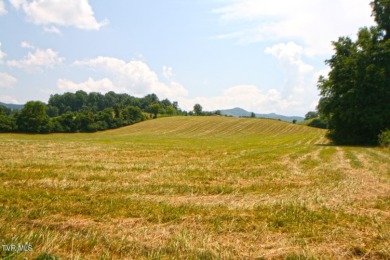 (private lake, pond, creek) Acreage For Sale in Elizabethton Tennessee