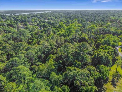 A rare opportunity to acquire 9 contiguous lots totaling - photo 9