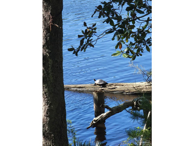 Build your dream waterfront home , or two! With no HOA! This - photo 4