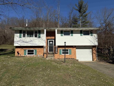 Ohio River Home For Sale in Chesapeake Ohio