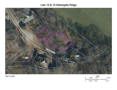 Build your dream home on one of these two lots being sold - photo 1