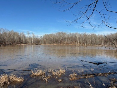Oakhurst sits in the heart of Mississippi's Bluff Hills soil - photo 16