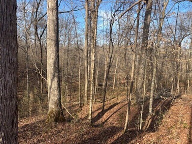 Oakhurst sits in the heart of Mississippi's Bluff Hills soil - photo 17