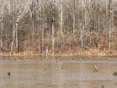 Oakhurst sits in the heart of Mississippi's Bluff Hills soil - photo 18