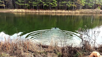 Oakhurst sits in the heart of Mississippi's Bluff Hills soil - photo 22