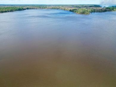 Discover the stunning Boot Lake, located just north of Eagle - photo 23