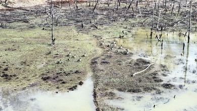 Oakhurst sits in the heart of Mississippi's Bluff Hills soil - photo 23