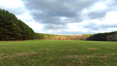 Oakhurst sits in the heart of Mississippi's Bluff Hills soil - photo 24