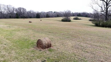 Oakhurst sits in the heart of Mississippi's Bluff Hills soil - photo 25
