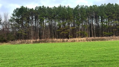 Oakhurst sits in the heart of Mississippi's Bluff Hills soil - photo 26