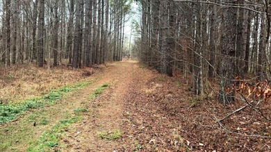Oakhurst sits in the heart of Mississippi's Bluff Hills soil - photo 27
