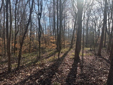 Oakhurst sits in the heart of Mississippi's Bluff Hills soil - photo 29
