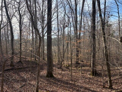 Oakhurst sits in the heart of Mississippi's Bluff Hills soil - photo 30