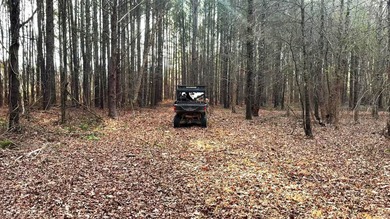 Oakhurst sits in the heart of Mississippi's Bluff Hills soil - photo 31