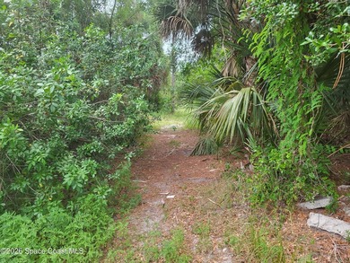 Vacant 0.23-acre build-able single family residential lot - photo 2