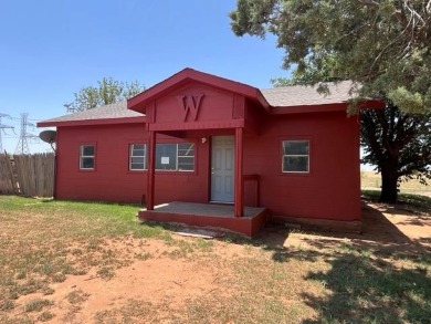 Lake Home For Sale in Colorado City, Texas