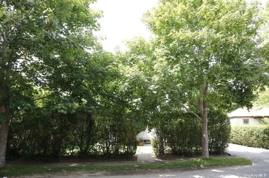 Heart of Southampton Village! You can renovate this property and - photo 3