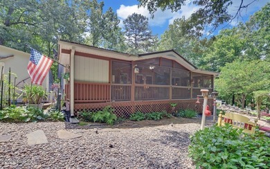 (private lake, pond, coastal) Home For Sale in Murphy North Carolina