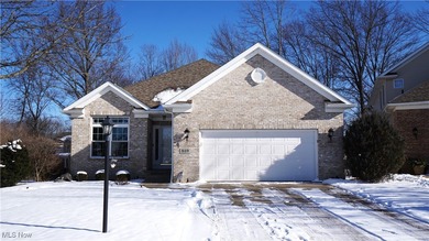 (private lake, pond, creek) Condo For Sale in Akron Ohio