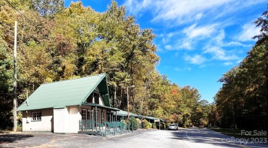 Lake Lure Commercial For Sale in Lake Lure North Carolina