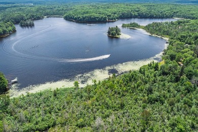 Stunning waterfront estate located on the North Shore of Lake - photo 25