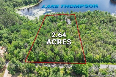 Stunning waterfront estate located on the North Shore of Lake - photo 35