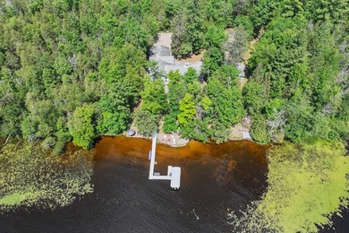 Stunning waterfront estate located on the North Shore of Lake - photo 37