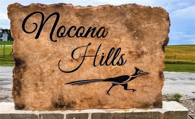 Lake Lot For Sale in Nocona, Texas