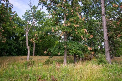 Lake Acreage For Sale in Lake Geneva, Wisconsin