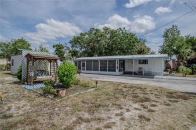 Lake Dora Home For Sale in Tavares Florida