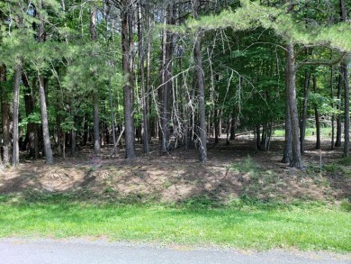 Lake Lot For Sale in Union Hall, Virginia
