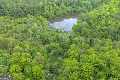 Discover the potential of this 7.91-acre residential tract in - photo 11