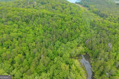 Discover the potential of this 7.91-acre residential tract in - photo 12