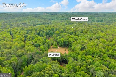 Discover the potential of this 7.91-acre residential tract in - photo 13