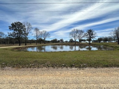 (private lake, pond, coastal) Acreage For Sale in Poplarville Mississippi
