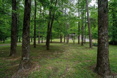 Discover your private river retreat on the majestic Little Red - photo 34