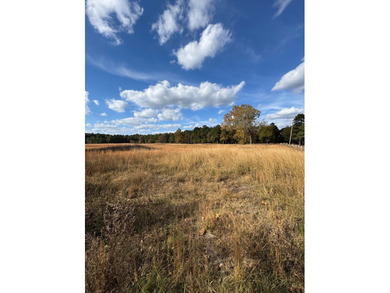 Red River Acreage For Sale in Haworth Oklahoma