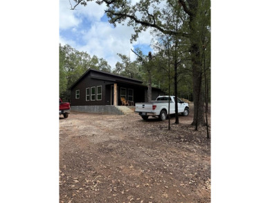 Lake Home For Sale in Malakoff, Texas