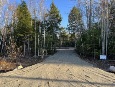 Lake Acreage For Sale in Waltham, Maine