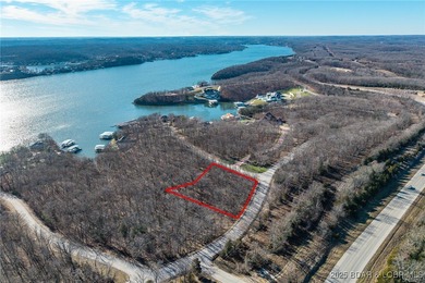 Surrounded by mature trees and natural Ozarks beauty, this - photo 3