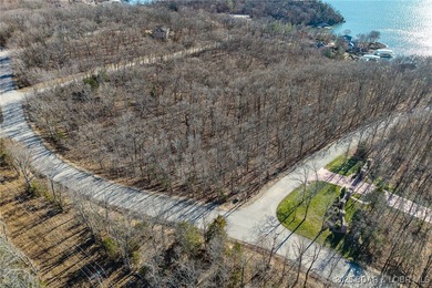 Surrounded by mature trees and natural Ozarks beauty, this - photo 4