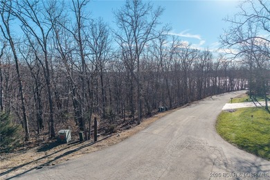 Surrounded by mature trees and natural Ozarks beauty, this - photo 6