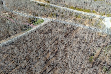 Surrounded by mature trees and natural Ozarks beauty, this - photo 7