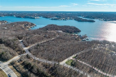 Surrounded by mature trees and natural Ozarks beauty, this - photo 8