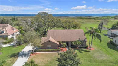 Lake Home For Sale in Kissimmee, Florida