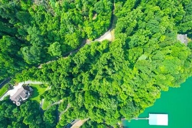 (private lake, pond, creek) Acreage For Sale in Butler Tennessee